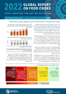 GRFC2022 arabic in brief