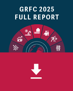 Global Report on Food Crises 2025