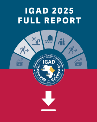 IGAD2025