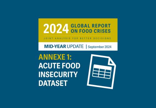 grfc myu 2024 afi data sp