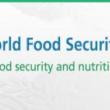 FS High-Level Special Event on Food Security and Nutrition