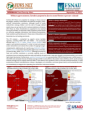 somalia fews net alert