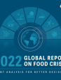 A thumbnail of the Global Report's Title Page