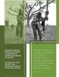 Advocacy note on the immediate impact of the COVID-19 crisis on the food and nutrition security in West African countries and the Sahel
