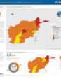 Afghanistan: Acute Food Insecurity Situation April - May 2020 and Projection for June - November 2020 (Snapshot)