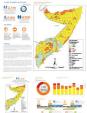 SOMALIA: Integrated Food Security Phase Classification Snapshot