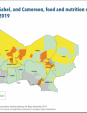 Map 3 - West Africa and the Sahel, and Cameroon, food and nutrition situation, October–December, 2019