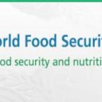 FS High-Level Special Event on Food Security and Nutrition