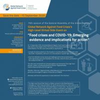 Food Crises and COVID-19 - emerging evidence and implications for action